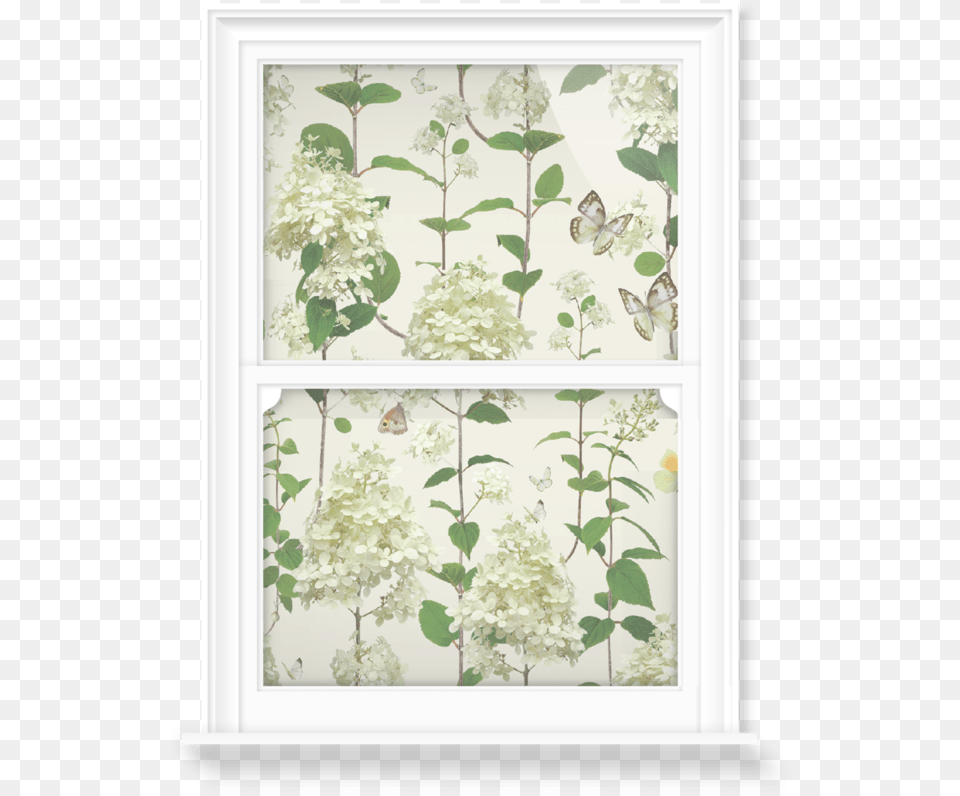 Jasmine, Plant, Flower, Window Free Png Download