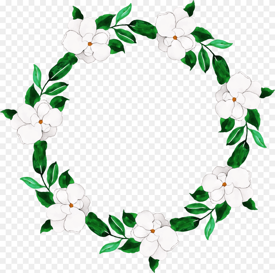 Jasmine, Pattern, Leaf, Plant, Accessories Png Image