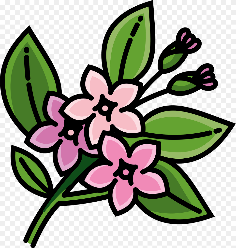 Jasmine Clipart, Flower, Plant, Pattern, Dynamite Png