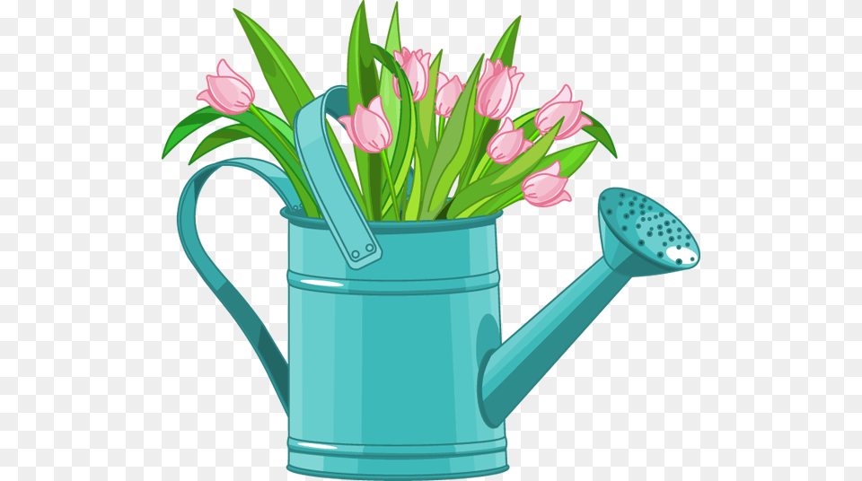 Jasmine Flower Clip Art, Tin, Can, Watering Can, Plant Png Image