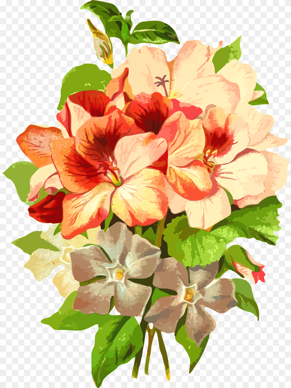 Jasmine Flower Name In Hindi, Flower Arrangement, Flower Bouquet, Geranium, Plant Free Png Download