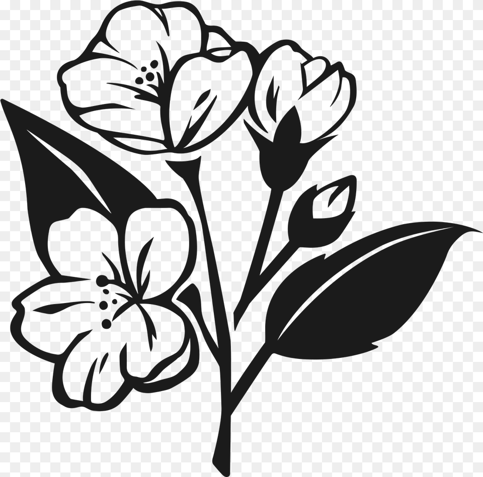 Jasmine Flower Vector Black White, Art, Plant, Stencil, Drawing Png