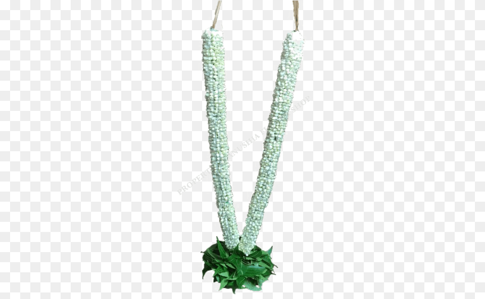 Jasmine Garland Hd Garland Transparent Hd, Accessories, Plant, Flower Arrangement, Flower Png