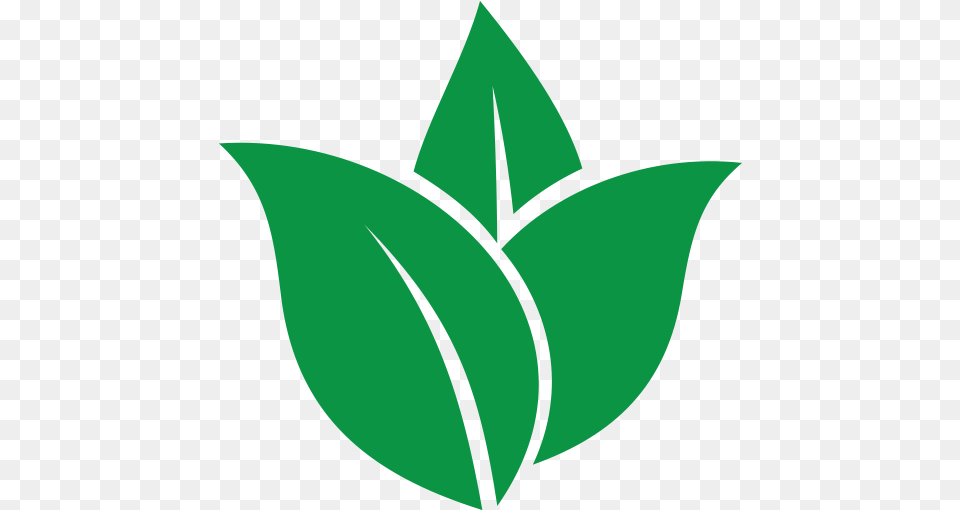 Jasmine Green Black Tea Leaves Logo, Leaf, Plant, Herbal, Herbs Png