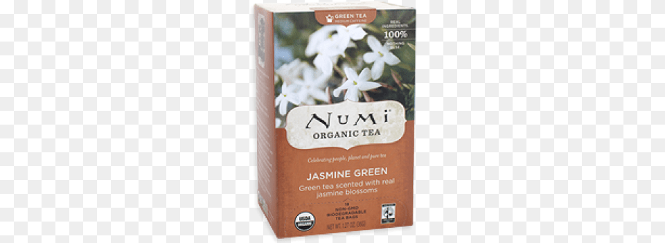 Jasmine Green Numi, Book, Herbal, Herbs, Plant Free Png