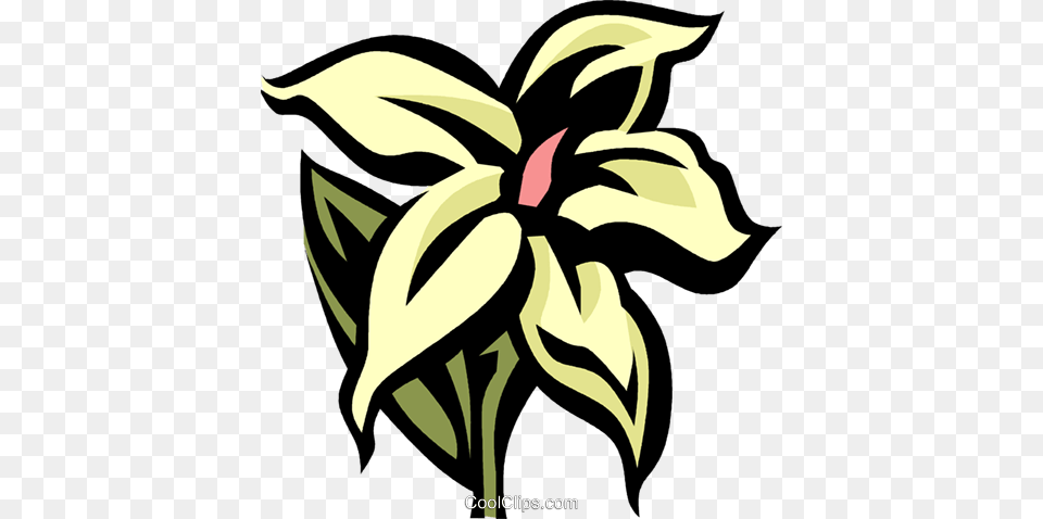 Jasmine Royalty Vector Clip Art Illustration, Flower, Plant, Petal, Graphics Free Png
