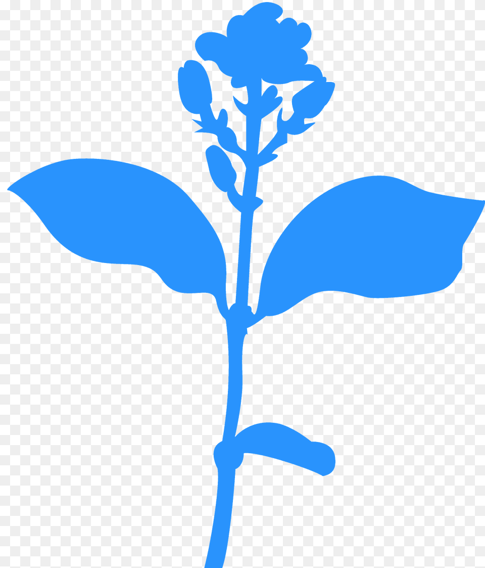 Jasmine Silhouette, Leaf, Plant, Flower, Cross Free Transparent Png
