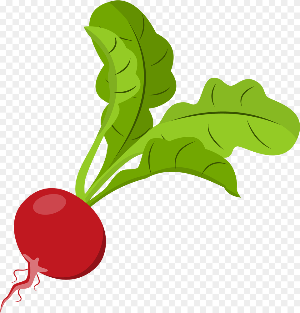 Jason B Graham Beet Greens, Food, Plant, Produce, Radish Png Image