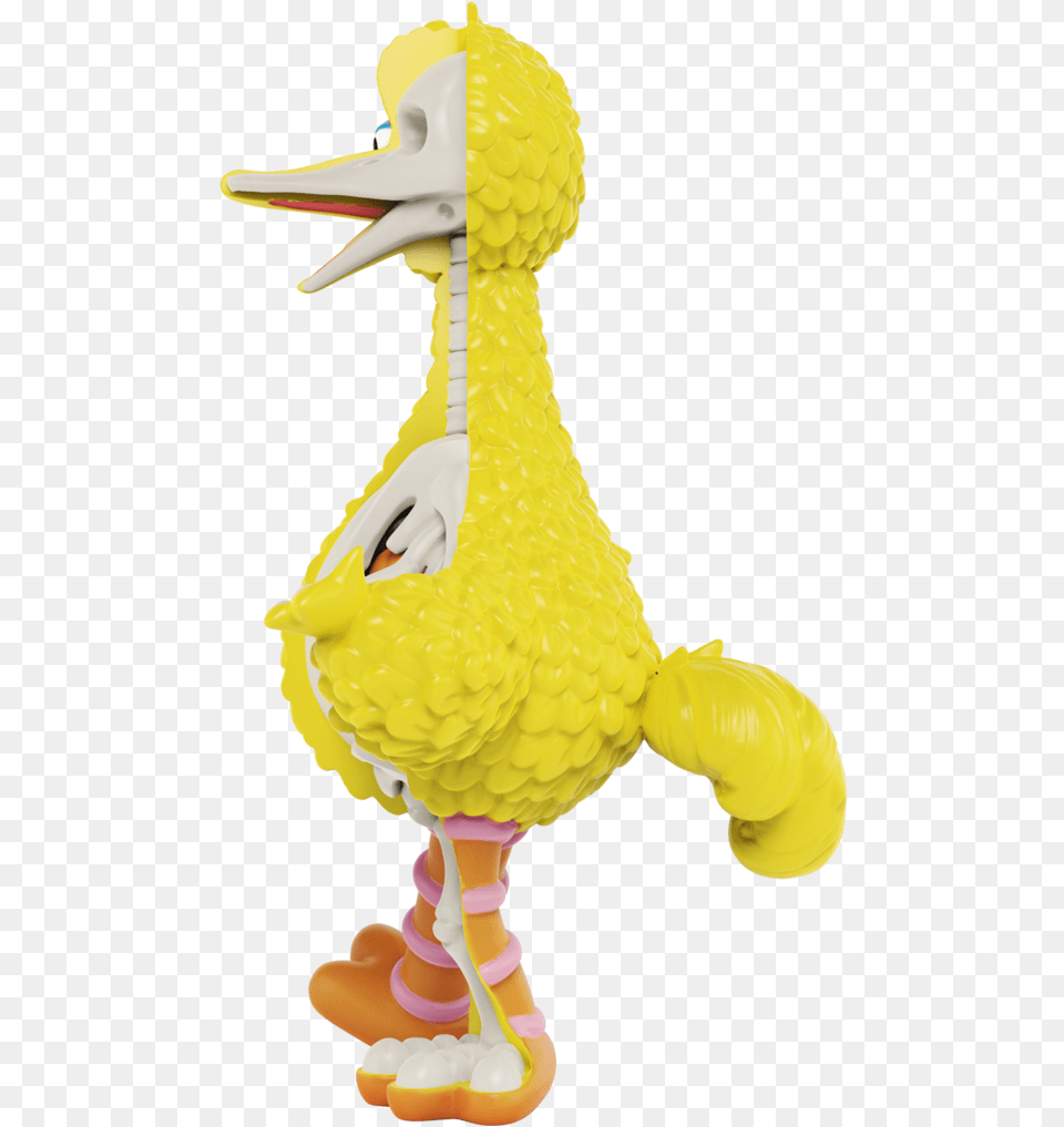 Jason Freeny X Mighty Jaxx Sesame Street 10 Xxray Plus Big Bird Sesame Street Big Birds, Animal, Beak, Dinosaur, Reptile Png Image