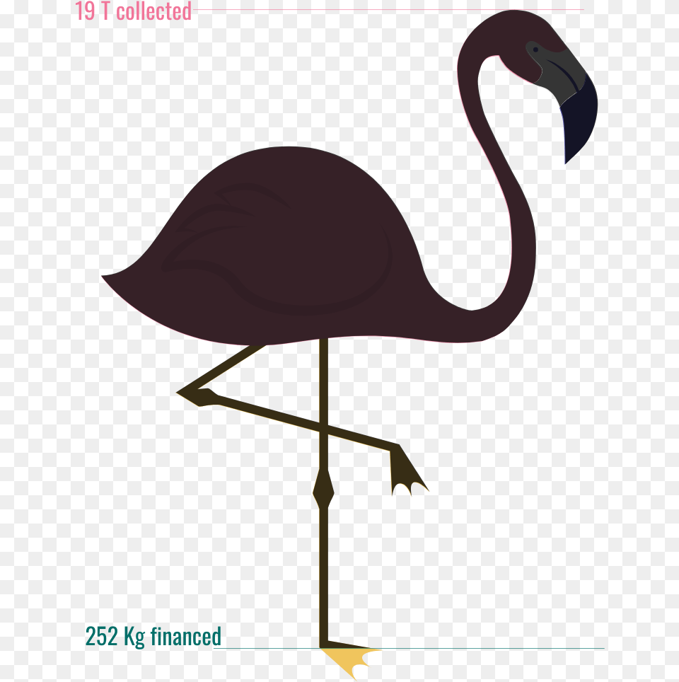 Jauge Offre Ind Funny Flamingo Quotes, Animal, Bird Free Png