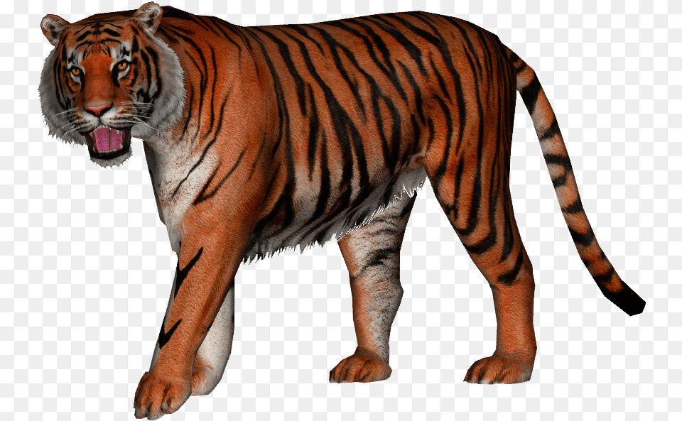 Javan Tiger, Animal, Mammal, Wildlife Png