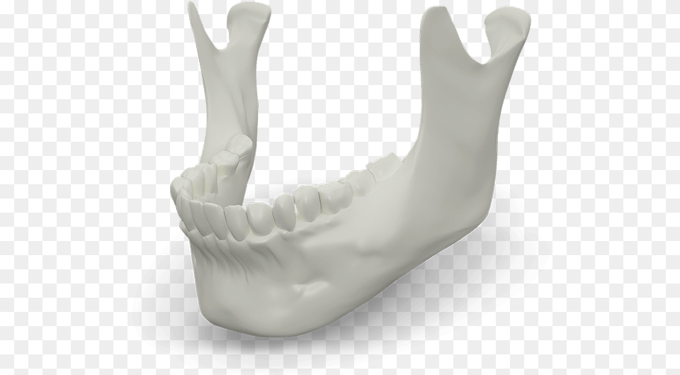 Jaw Bone Model Hand, Body Part, Mouth, Person, Teeth Free Png