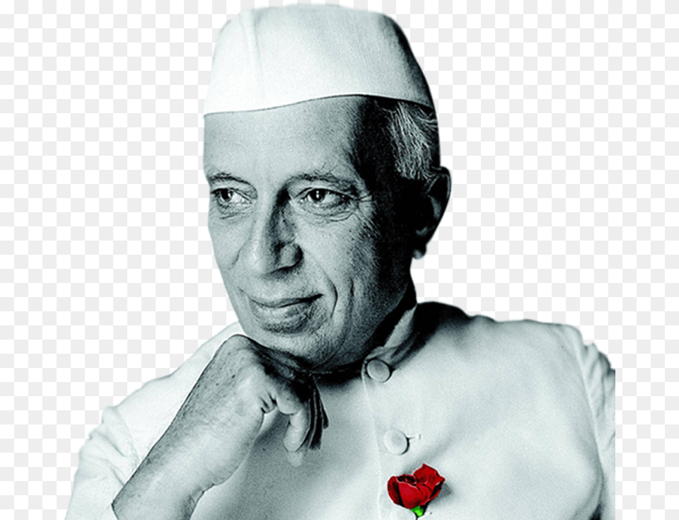 Jawaharlal Nehru, Rose, Plant, Person, Man Png