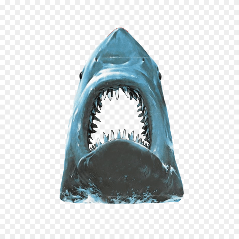 Jaws Image, Animal, Fish, Sea Life, Shark Free Png Download