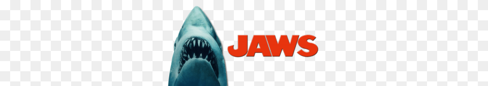 Jaws Image, Animal, Fish, Sea Life, Shark Free Transparent Png