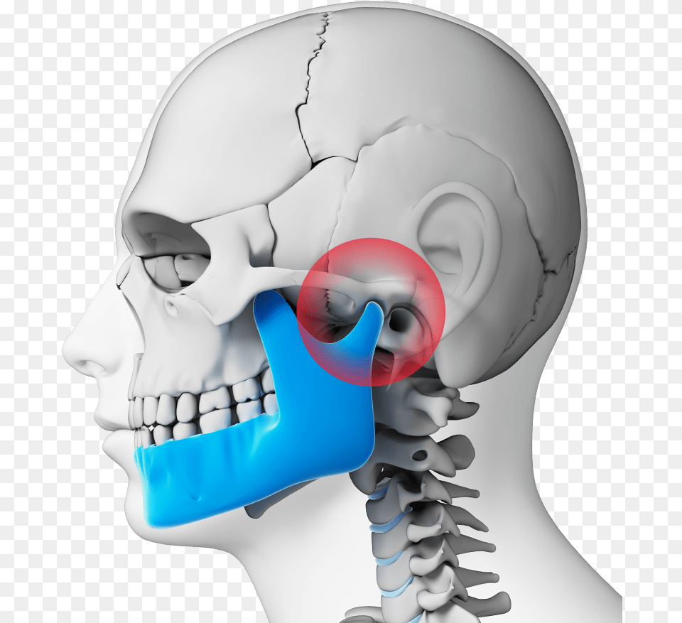 Jaws In Human Body, Head, Person, Face, Baby Png Image