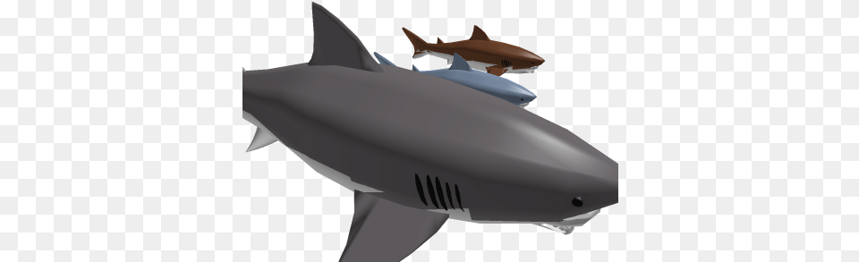 Jaws Needs A Shark Sir Roblox Great White Shark, Animal, Fish, Sea Life, Great White Shark Free Png