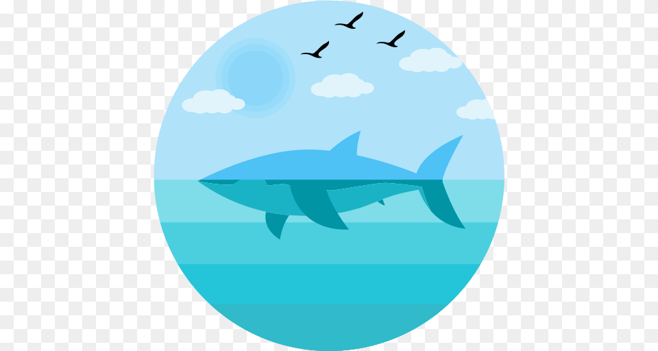 Jaws Shark Icons And Vector Icons Unlimited, Animal, Fish, Sea Life, Bird Free Png Download