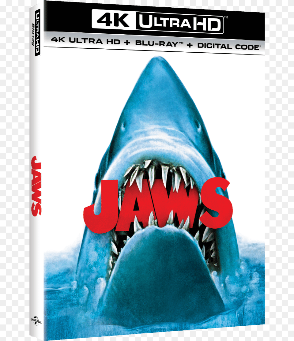 Jaws Will Release On 4k Blu Ray In June Jaws 4k Blu Ray, Animal, Fish, Sea Life, Shark Png