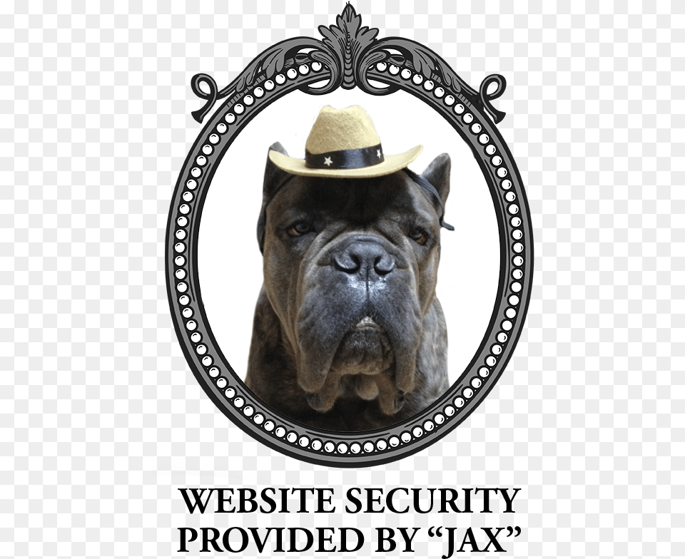 Jax Cane Corso, Clothing, Hat, Photography, Animal Png