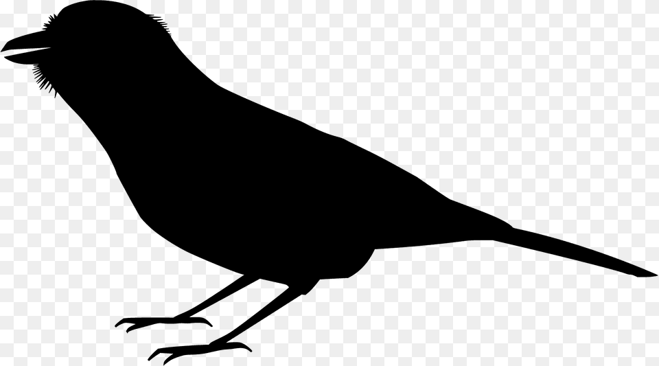 Jay Silhouette, Animal, Bird, Blackbird, Fish Free Png