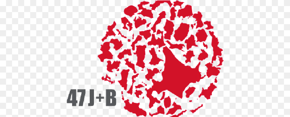 Jb Jcollabo Dot, Carnation, Flower, Plant, Pattern Png