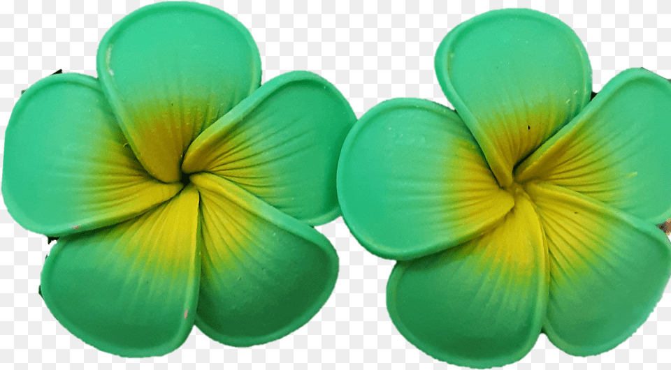 Jb Small Green Plumeria Earrings Frangipani, Flower, Petal, Plant, Accessories Free Transparent Png