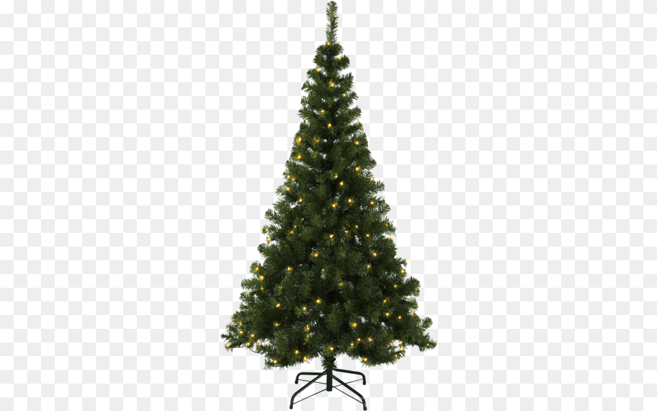 Jcpenney Christmas Box, Plant, Tree, Christmas Decorations, Festival Free Transparent Png
