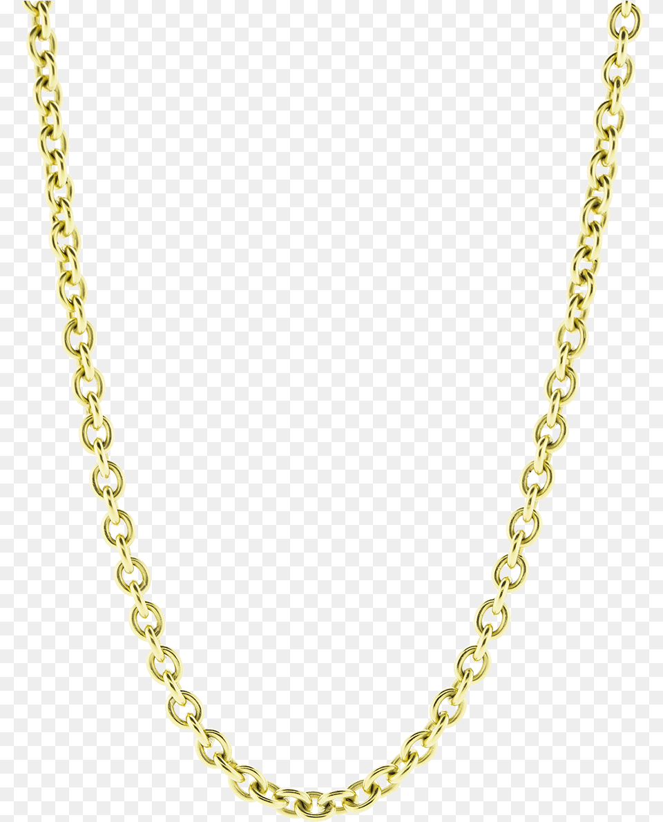 Jcpenney Gold Chains, Accessories, Jewelry, Necklace, Chain Free Transparent Png