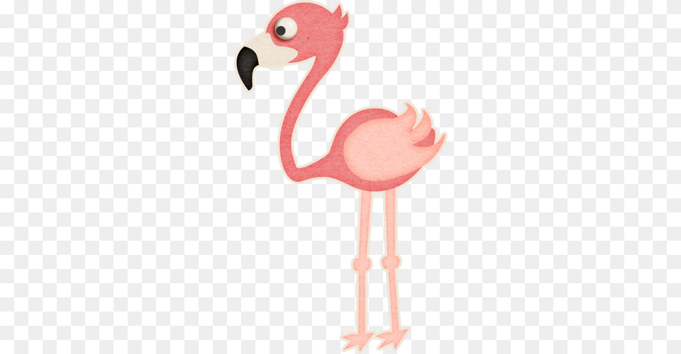 Jds Sf Atthezoo Flamingo Clipart Mix, Animal, Bird Png Image