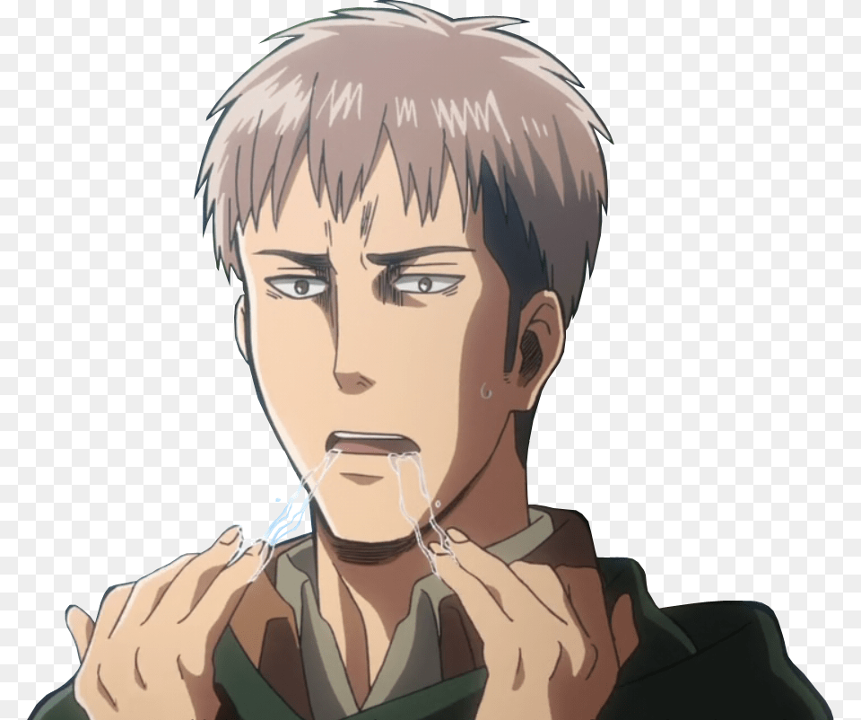 Jean Kirschtein Eren Yeager Hair Face Facial Expression Attack On Titan Valentines Card, Adult, Person, Female, Anime Free Png Download