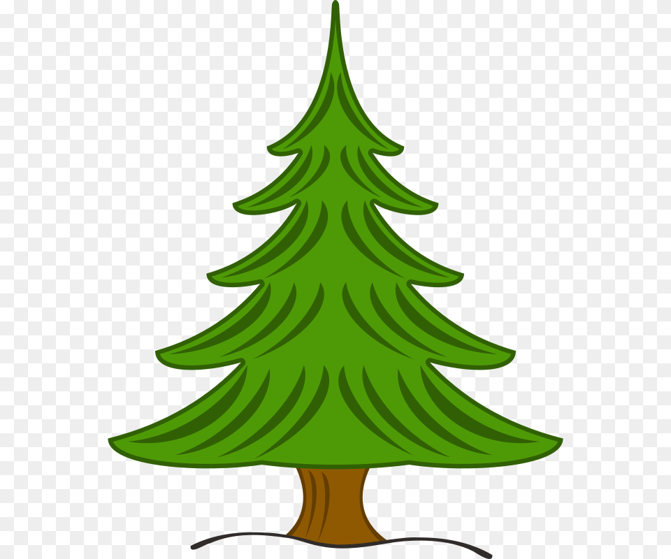 Jean Victor Balin Sapin, Plant, Tree, Green, Fir Png