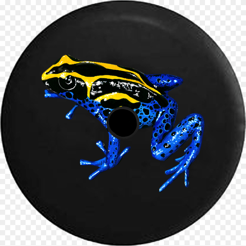 Jeep Wrangler Jl Backup Camera Day Tropical Tree Frog Tropical Tree Frog Blue Yellow And Black Spare Tire, Amphibian, Animal, Wildlife, Lizard Free Png Download
