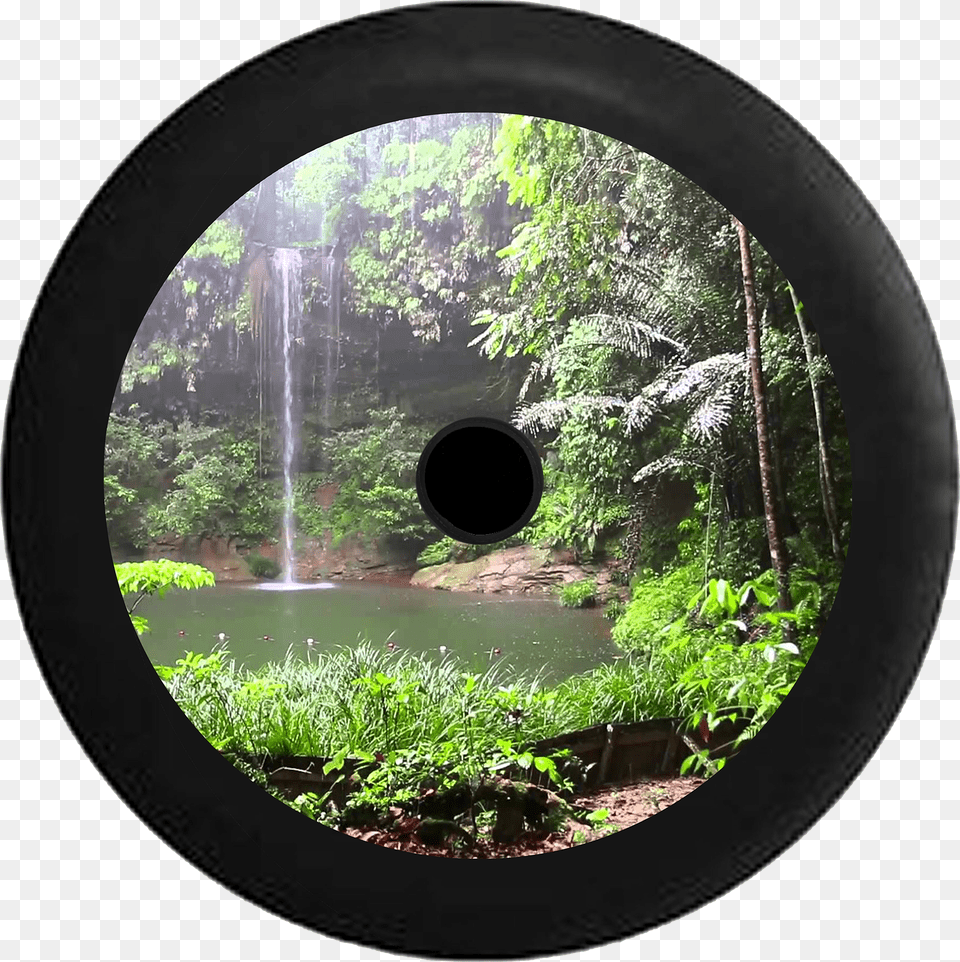 Jeep Wrangler Jl Backup Camera Jungle Rainforest Oasis Wald Wasserfall, Hole, Vegetation, Tree, Plant Free Transparent Png
