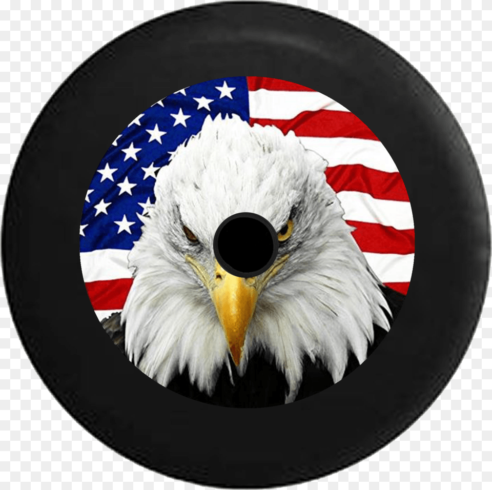 Jeep Wrangler Jl Backup Camera Patriotic American Eagle, Animal, Bird Png