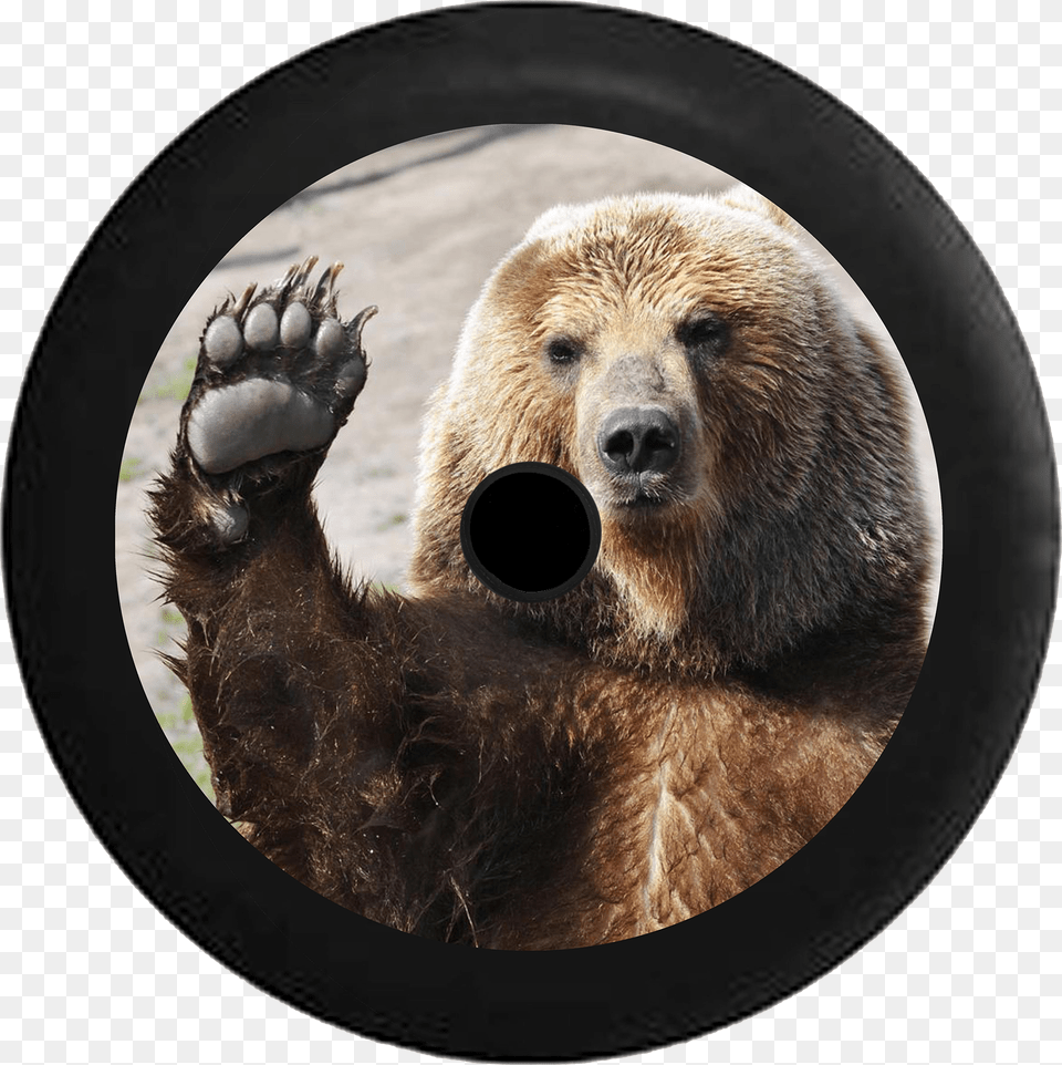 Jeep Wrangler Jl Backup Camera Waving Brown Grizzly Waving Bear, Animal, Mammal, Photography, Wildlife Free Png Download