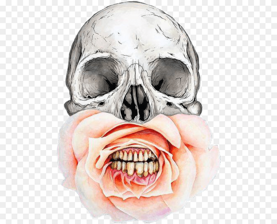Jeff Proctor Artist, Teeth, Person, Mouth, Body Part Free Png