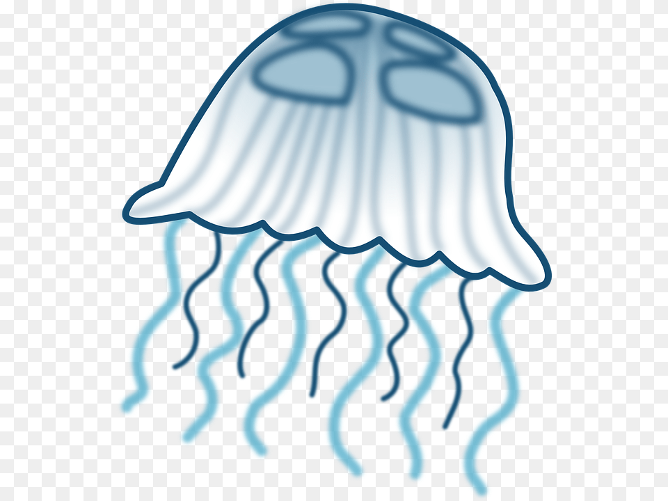 Jellie Clipart Marine Animals, Animal, Sea Life, Invertebrate, Jellyfish Png Image