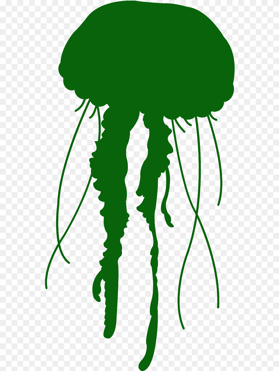 Jelly Fish, Animal, Invertebrate, Jellyfish, Person Png