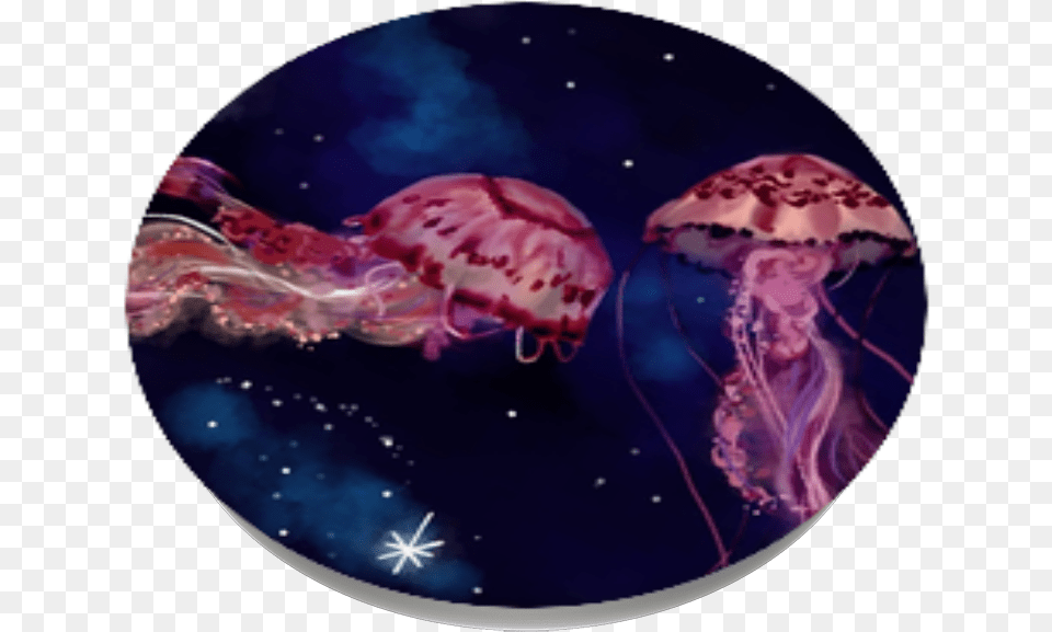 Jelly Fish Outer Space, Animal, Sea Life, Invertebrate, Jellyfish Png