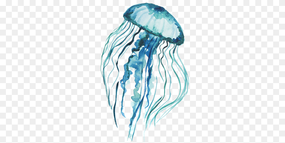 Jelly Tentacles Background Jellyfish, Animal, Sea Life, Invertebrate, Person Free Transparent Png