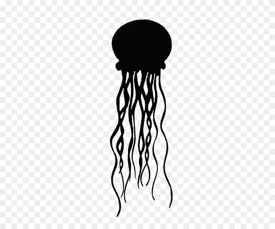 Jellyfish, Animal, Sea Life, Invertebrate, Person Png Image