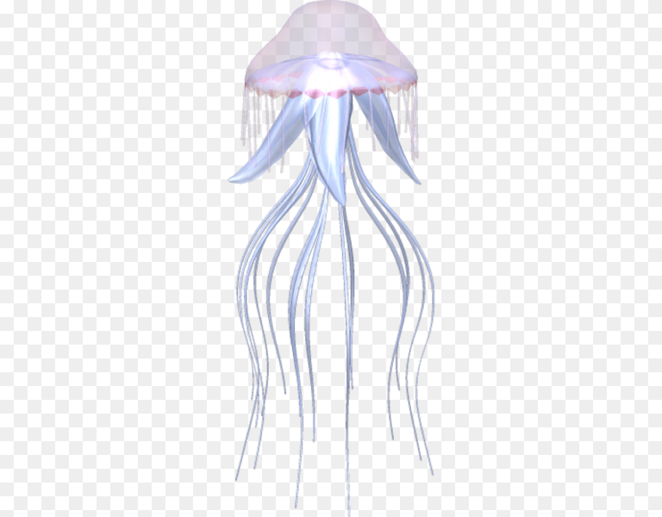 Jellyfish, Animal, Sea Life, Invertebrate, Person Free Png Download