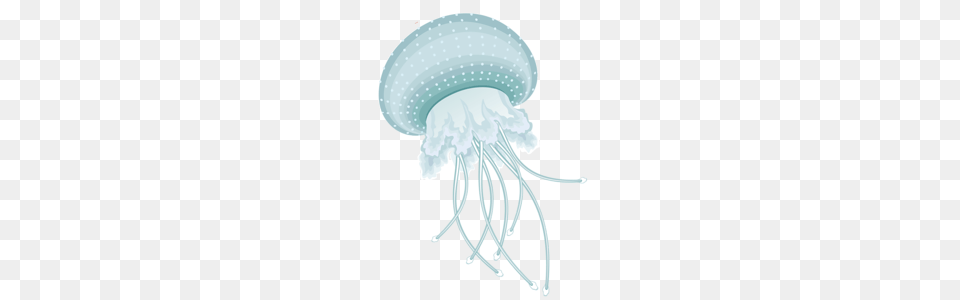 Jellyfish, Animal, Sea Life, Invertebrate, Chandelier Free Transparent Png