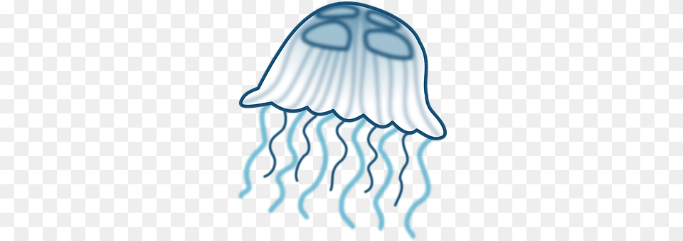 Jellyfish Animal, Sea Life, Invertebrate Png