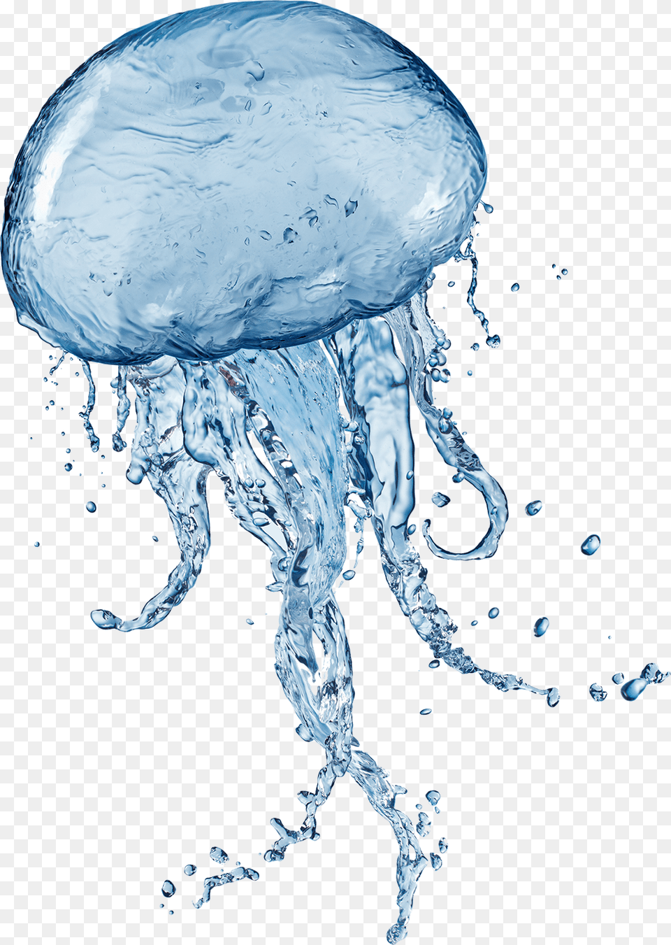 Jellyfish, Animal, Sea Life, Invertebrate, Person Png Image