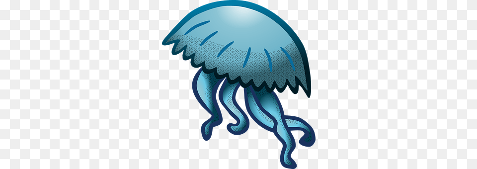 Jellyfish Animal, Invertebrate, Sea Life Free Png