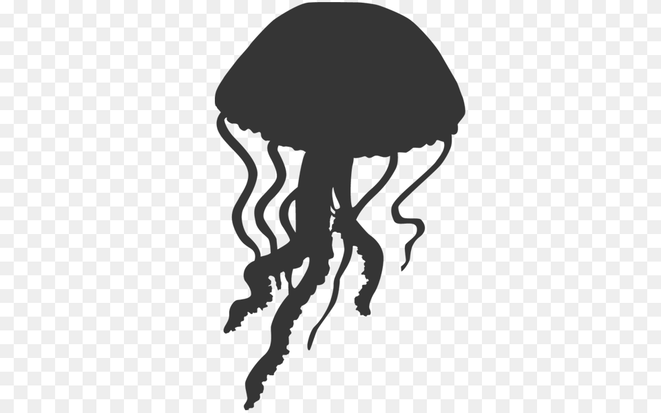 Jellyfish, Gray, Text Png Image
