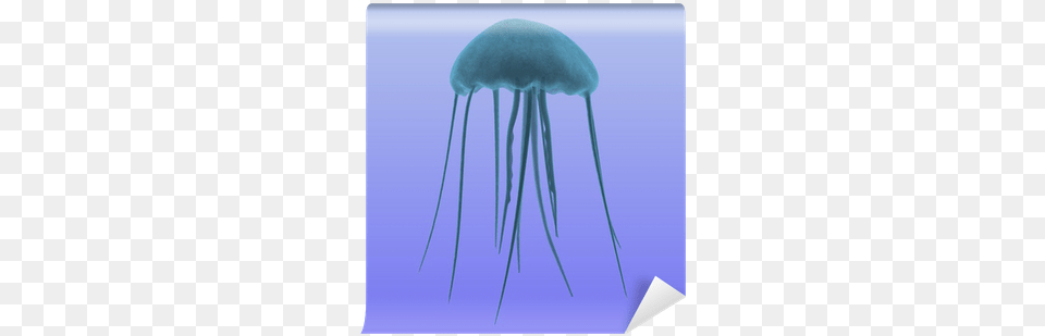 Jellyfish, Animal, Sea Life, Invertebrate Free Png