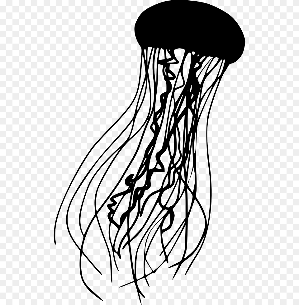 Jellyfish, Animal, Sea Life, Invertebrate, Smoke Pipe Free Png